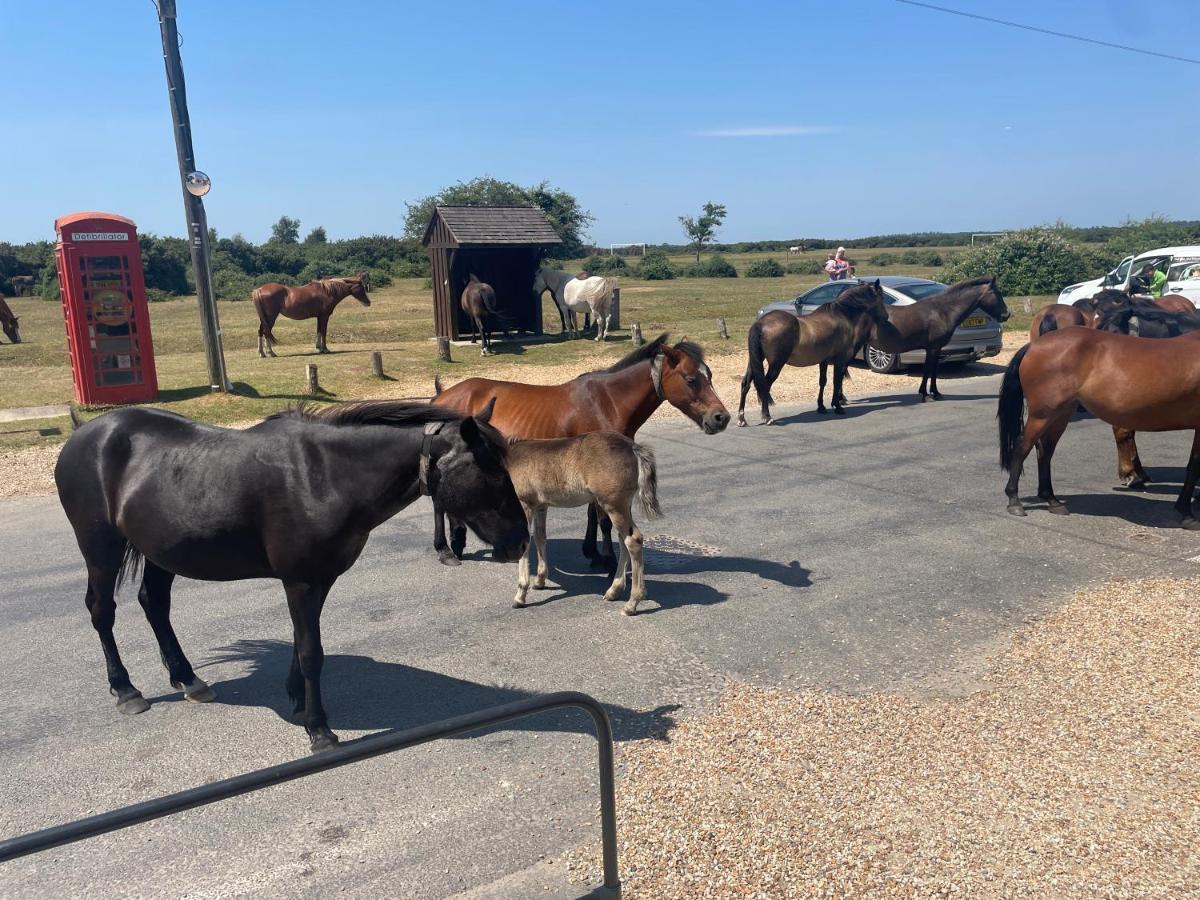 New Forest View Beaulieu Luaran gambar